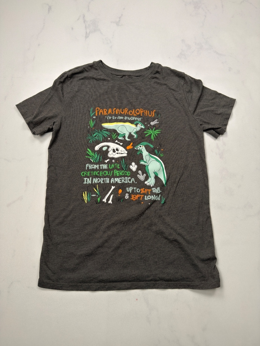 Cat & Jack Graphic Tee Gray Dinosaur Print - Boys XXL